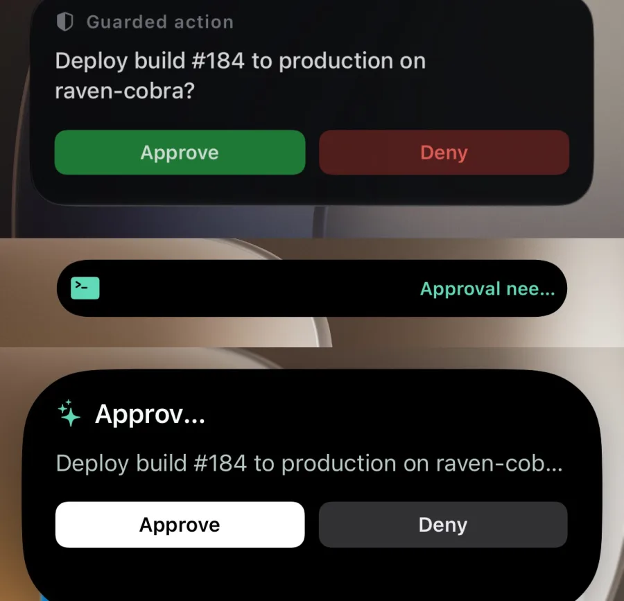 signal Live Activity on the Lock Screen and Dynamic Island